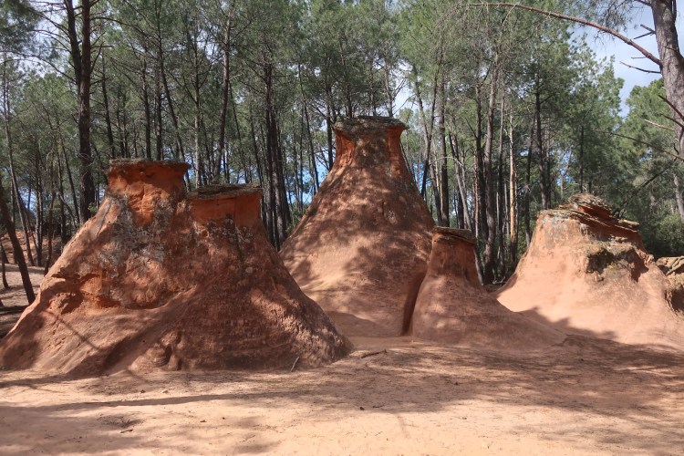 Les Demoiselles Coiffées